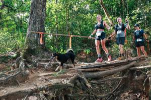 BIB: 
                            <button type="button" onclick="openModal(27555627)" class="btn btn-primary btn-sm float-right btn-popup" data-toggle="modal" data-target=".modal-high-quality">
                        <i class="fas fa-shopping-cart"></i> Add to Cart
                    </button>
                                            <button type="button" onclick="isThisMe(27555627, true)" class="btn btn-success btn-sm float-right btn-popup btn-isme hidden" data-toggle="tooltip" data-placement="bottom" title="นี่คือรูปของคุณใช่ไหม คลิกที่นี่เพื่อเอาเข้าอัลบั้ม">
                        <i class="fas fa-plus"></i> Add to album
                    </button>
                    <button type="button" onclick="isThisMe(27555627, false)" class="btn btn-warning btn-sm float-right btn-popup btn-isnotme hidden">
                        <i class="fas fa-ban"></i> Remove from album
                    </button>